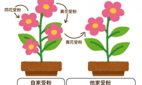自闭和抑郁的区别-自闭症和宜郁症有什么区别-专业自闭和抑郁的区别平台-自闭症和郁郁症有什么区别